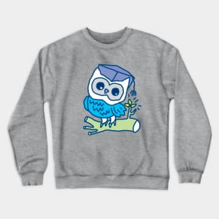 Owl Student Crewneck Sweatshirt